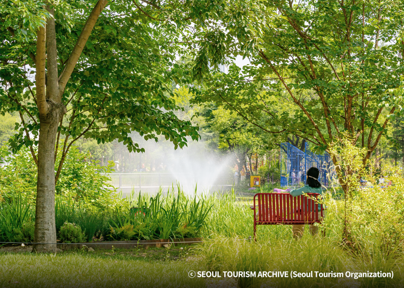 Seoul Forest